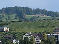 Weingut Hasenhalde - Klicken Sie, um das Bild 1 in einer Lightbox vergrössert darzustellen