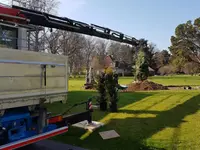 Gonvers C. et B. Sàrl