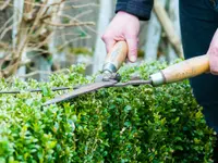 Dürig Gartenbau - Klicken Sie, um das Bild 7 in einer Lightbox vergrössert darzustellen