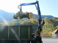 Baummaa Baumpflege GmbH