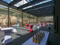 Locarno Events
