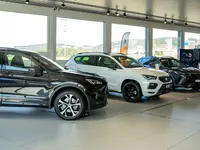 Garage Herzog AG