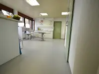 Dietiker Bodenbeläge AG