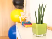 physio plus