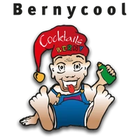 Bernycool-Logo