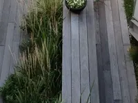 Mint Gardens