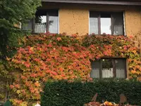 Malergeschäft König AG