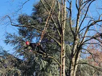 EQUILIBRE SOINS AUX ARBRES - Klicken Sie, um das Bild 17 in einer Lightbox vergrössert darzustellen