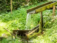 Grabenmühle - Sigriswil - Berner Oberland