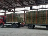 Servizi e lavori agricoli - Bassi Mirko