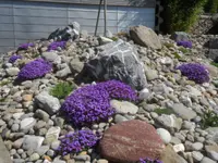 Müller Gartenbau AG