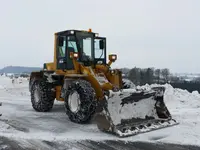 Ernest Tzaut & Fils SA