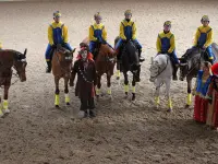 Centre Hippique de la Chaumaz Sàrl - Klicken Sie, um das Bild 19 in einer Lightbox vergrössert darzustellen