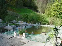 Krokus Gartenpflege GmbH