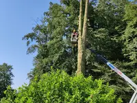 Grünplus AG Lehmann