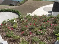 von Büren Gartenbau GmbH