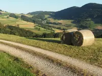 Gemeindeverwaltung in Thalheim AG - Klicken Sie, um das Bild 4 in einer Lightbox vergrössert darzustellen