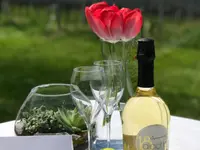 CANTINA IL CAVALIERE SA