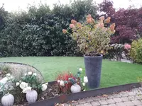 Signer Gartenpflege