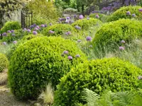 AB JARDIN SARL