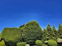 OMID Paysage - Arboriste Lausanne et environs