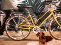 Up-Cycle GmbH
