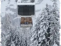 MTV Meubles Transport Videira