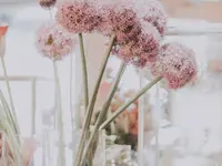 Rieder Fleurs