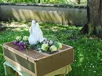 Hochzeitstauben Burlet - Klicken Sie, um das Bild 5 in einer Lightbox vergrössert darzustellen