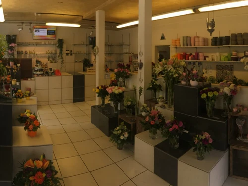 Blumen Zweerus - Cliccare per ingrandire l’immagine panoramica