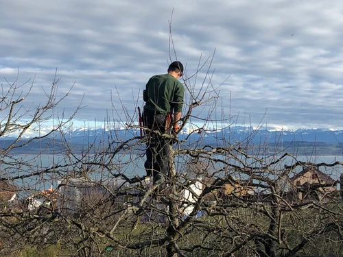 Bannwart SA - Klicken, um das Panorama Bild vergrössert darzustellen