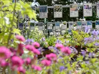 Gartenbauschule Hünibach - Klicken Sie, um das Bild 4 in einer Lightbox vergrössert darzustellen