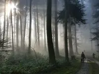 Seelenhüter Tier-Seelen-Paradies und Lebenskunst-Schule Seelenheil - Klicken Sie, um das Bild 1 in einer Lightbox vergrössert darzustellen