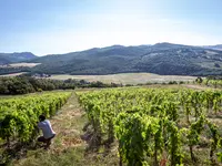 Chronos Wine Cellar SA