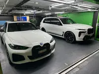 Swiss Green Mamba