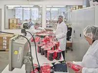 Valida - Das soziale Unternehmen