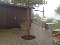 Schweizer Stephan