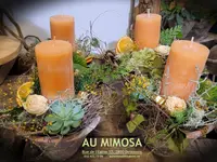 AU MIMOSA