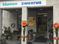 Blumen Zweerus