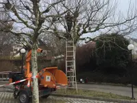 Bannwart SA - Klicken Sie, um das Bild 6 in einer Lightbox vergrössert darzustellen