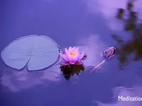QI GONG Irène Mayer