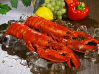 SICO FOOD TRADING SA