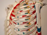 physioundmehr Training und Therapie