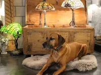 LUCE unico ag