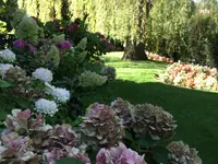 Royal Jardin sarl