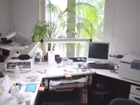 Zahnprothetik Elmiger