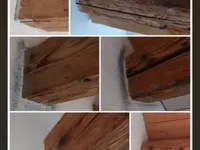 Farbenfroh