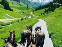 Clalüna-Sils Kutschenfahrten - Klicken Sie, um das Bild 10 in einer Lightbox vergrössert darzustellen