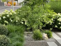 Küng Garten AG