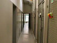 Società Protezione Animali Locarno e Valli